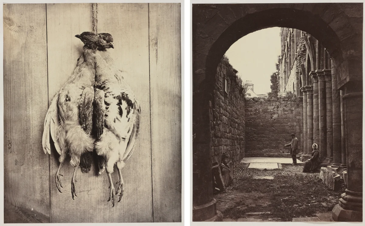 Partridges (recto); L.D. Campbell's Tomb (verso) by Captain N. Baily, photograph, 1855-1865