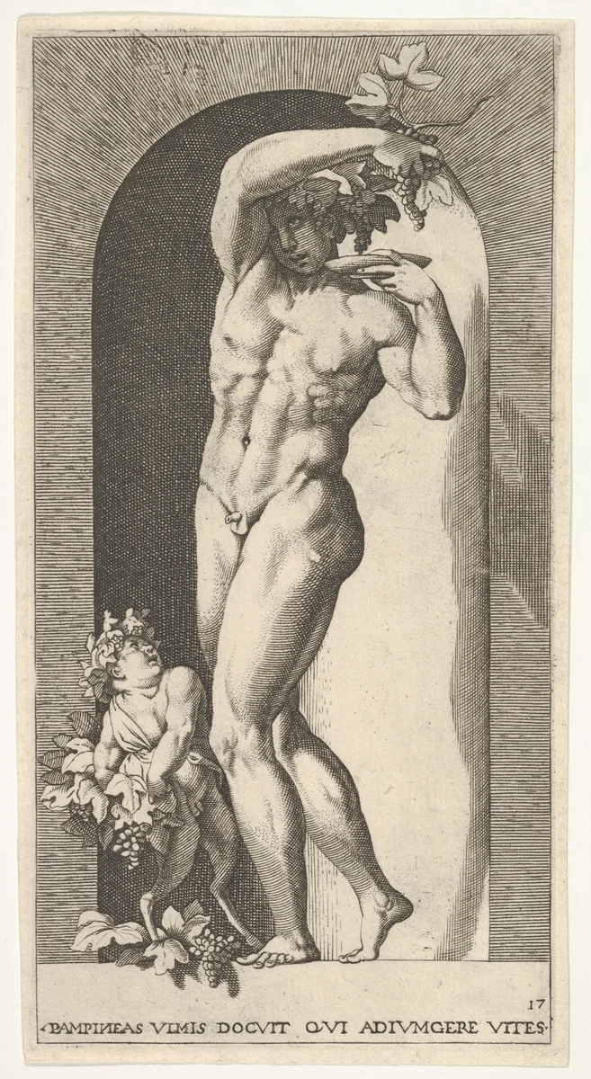 Plate 17: Bacchus standing in a niche, holding grapes over a plate, accompanied by an infant satyr, from a series of mythological gods and goddesses by Giovanni Jacopo Caraglio, print, 1526