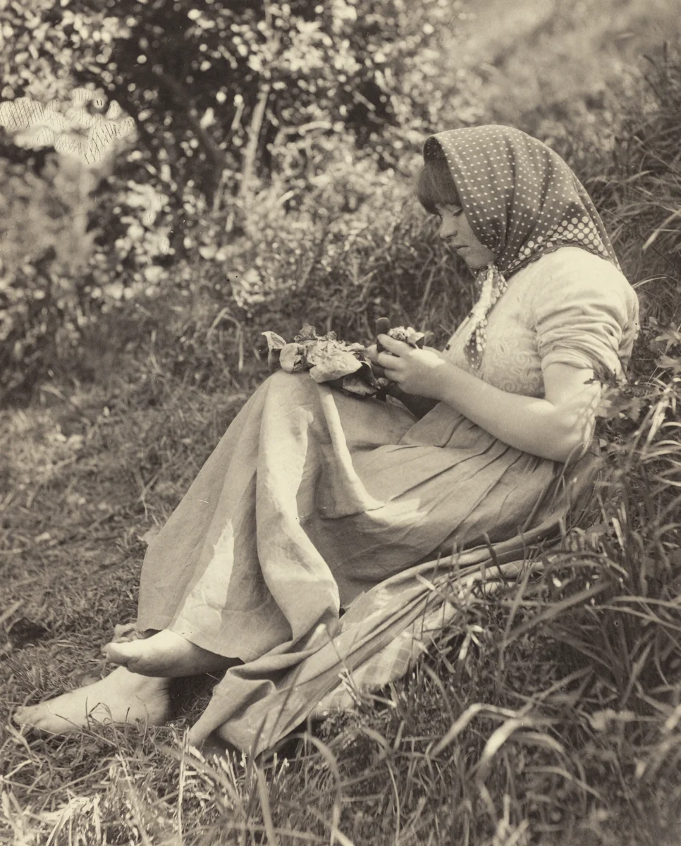 Sunlight Effect by Alfred Stieglitz, photograph, 1890