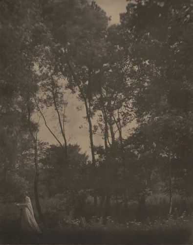 Landscape by Clarence H. White, photograph, 1905