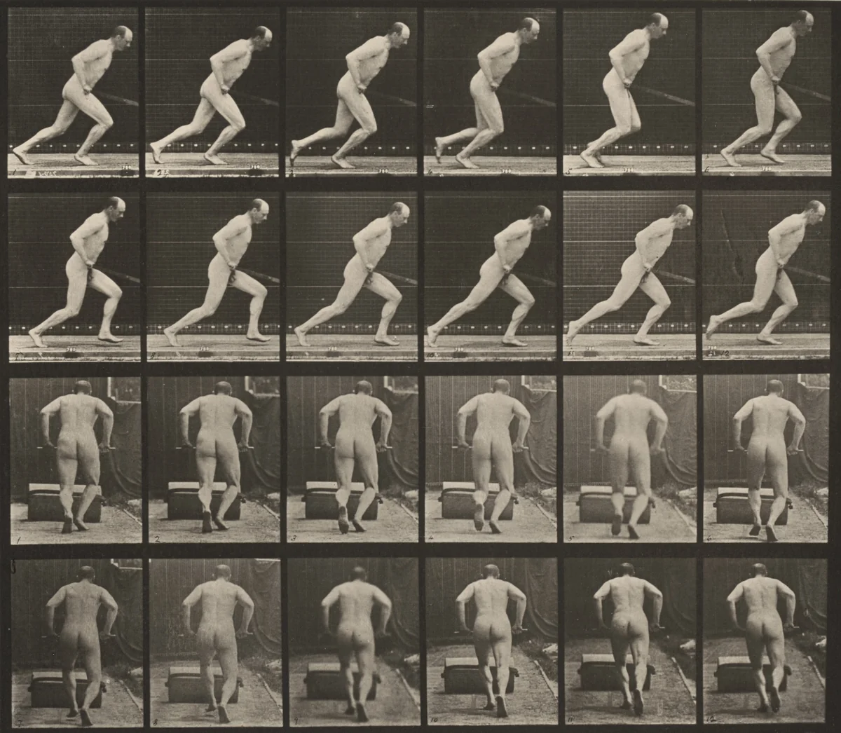 Plate Number 393. Pushing a garden roller by Eadweard Muybridge, photograph, 1887