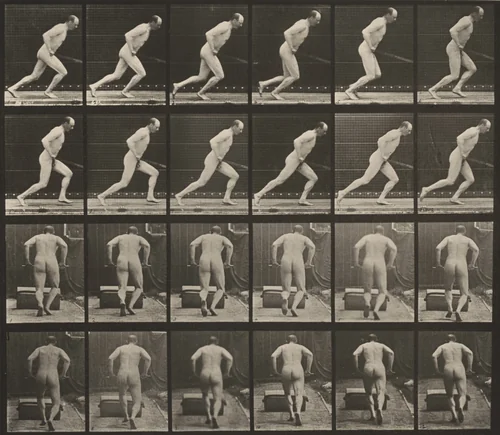 Plate Number 393. Pushing a garden roller by Eadweard Muybridge, photograph, 1887