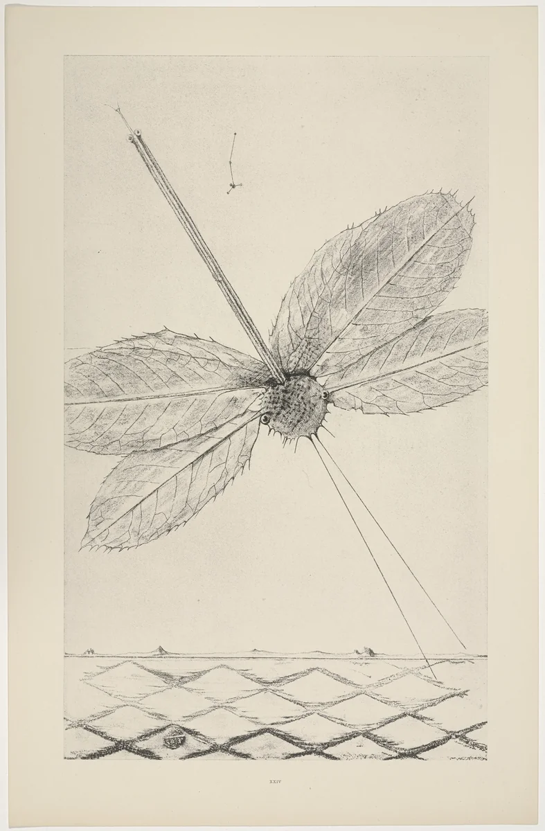 Teenage Lightning (Les Éclairs au-dessous de quatorze ans) from Natural History (Histoire Naturelle) by Max Ernst, print, 1925
