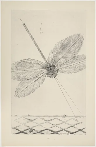 Teenage Lightning (Les Éclairs au-dessous de quatorze ans) from Natural History (Histoire Naturelle) by Max Ernst, print, 1925