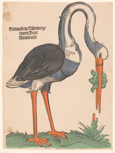 Ooievaar met een kikker by anonymous, print, 1586-1636