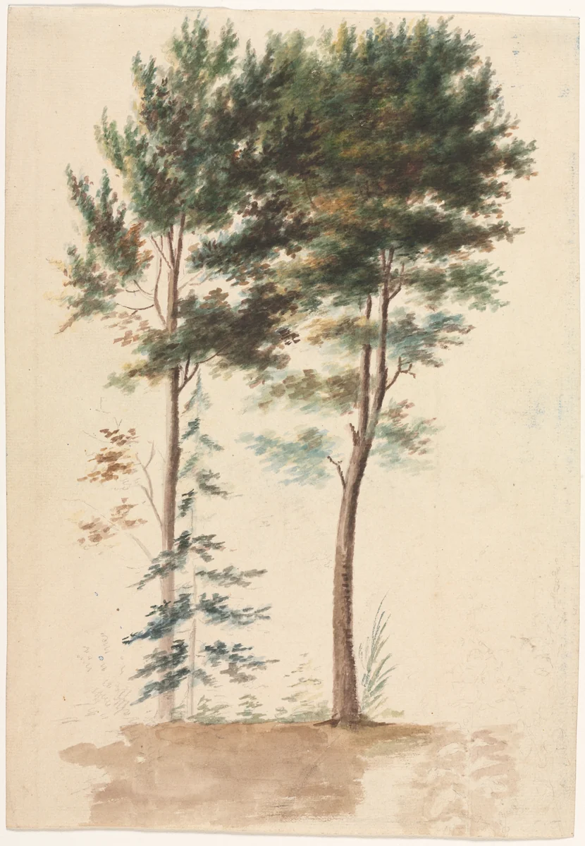 Trees by Jean Baptiste Pillement, drawing, 1700-1799