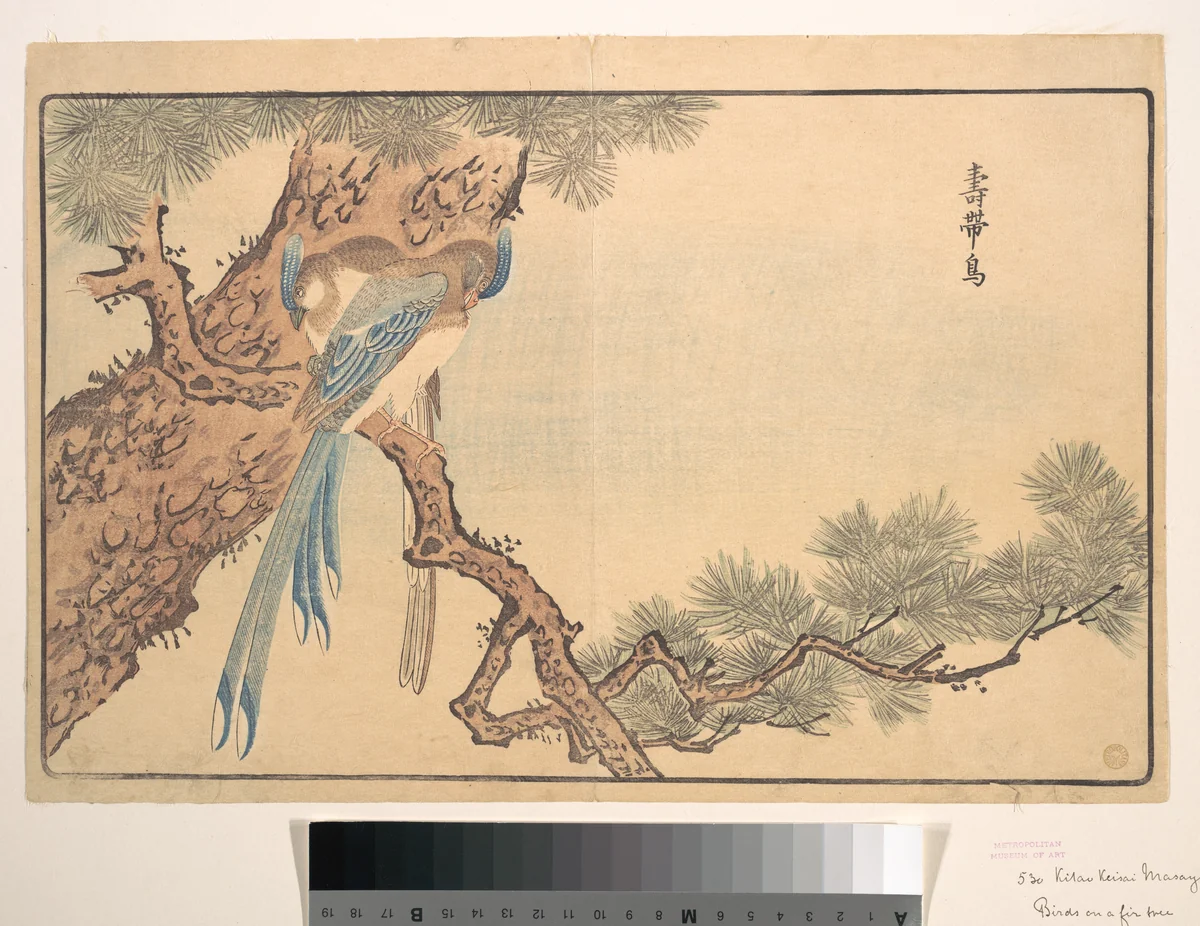 Paradise Fly-catcher by Kuwagata Keisai (鍬形蕙斎), print, 1789