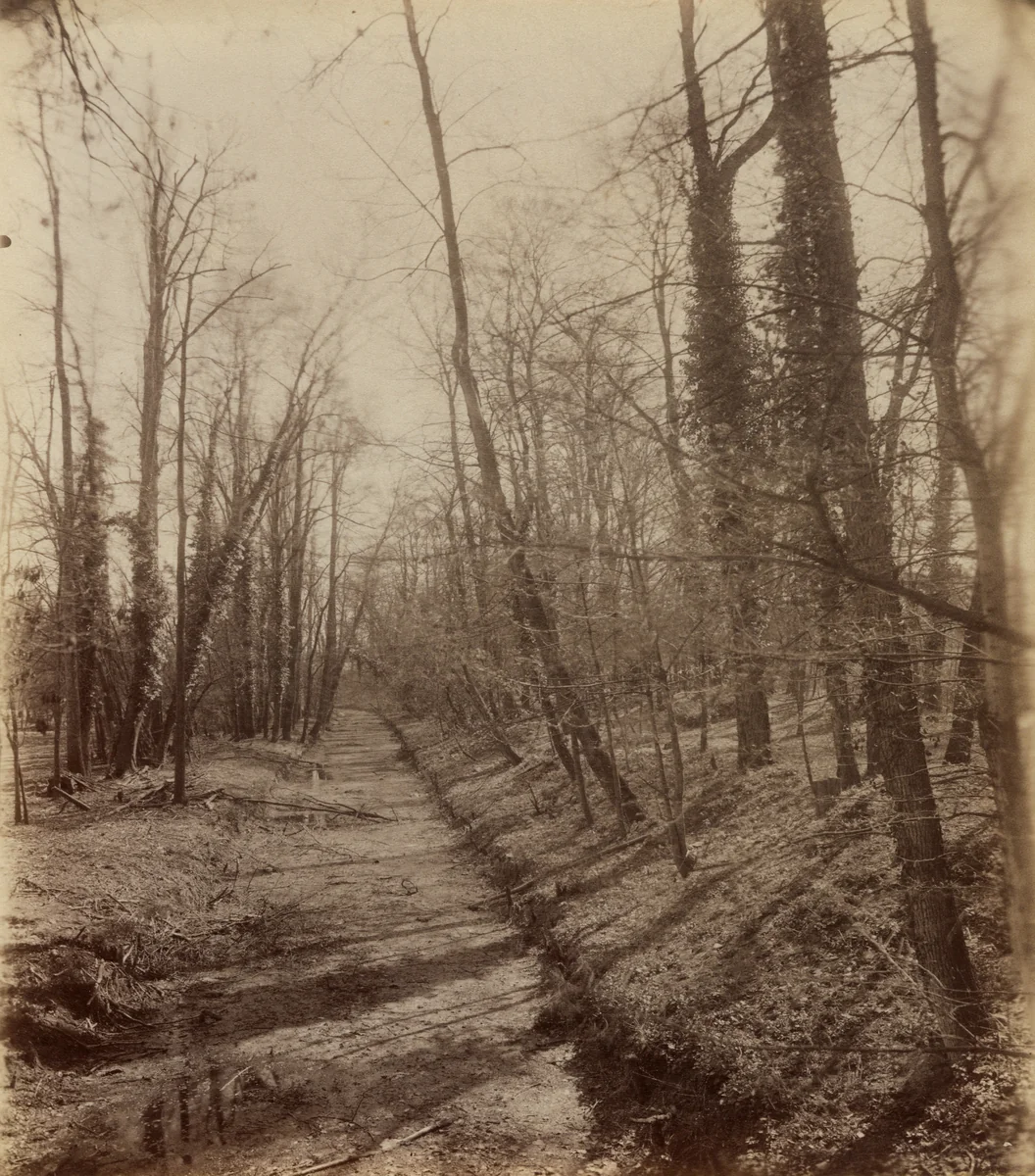 Arcueil-Cachan. La Bièvre dans le parc de Mme de Provigny by Eugène Atget, photograph, 1901