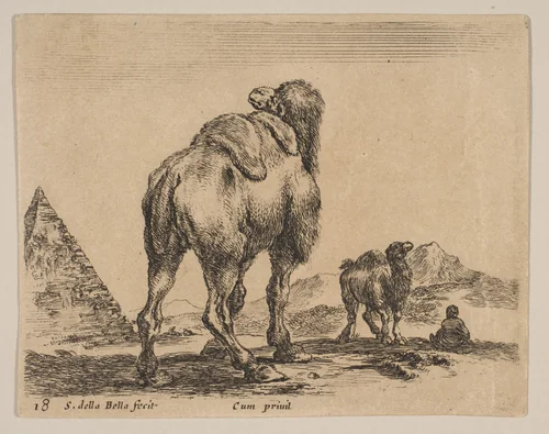 Plate 18: Camel viewed from behind with pyramid at left, from "Various animals" (Diversi animali) by Stefano della Bella, print, 1636-1646