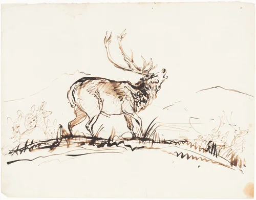 A Bellowing Stag by Sir Edwin Landseer, drawing, 1840-1850