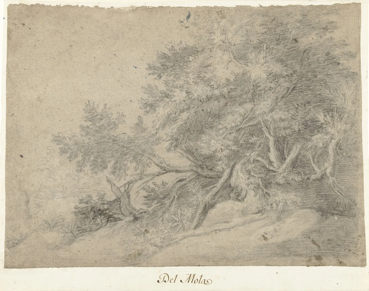 Boomgroep in een bergachtig landschap by Pier Francesco Mola, drawing, 1622-1666