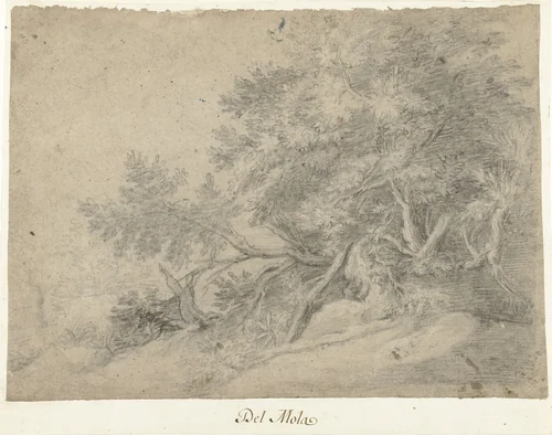 Boomgroep in een bergachtig landschap by Pier Francesco Mola, drawing, 1622-1666