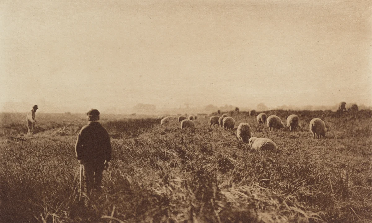 The Marshes in June by Peter Henry Emerson, photograph, 1890-1891