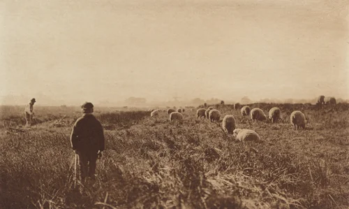 The Marshes in June by Peter Henry Emerson, photograph, 1890-1891