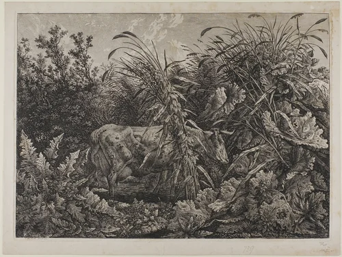 Cow in a Stream by Carl Wilhelm Kolbe, print, 1779-1835