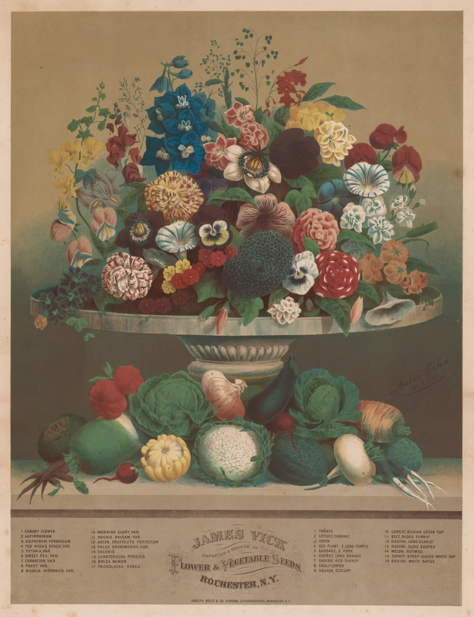 Flowers and Vegetables by Anton Carl Rahn, print, 1800-1899