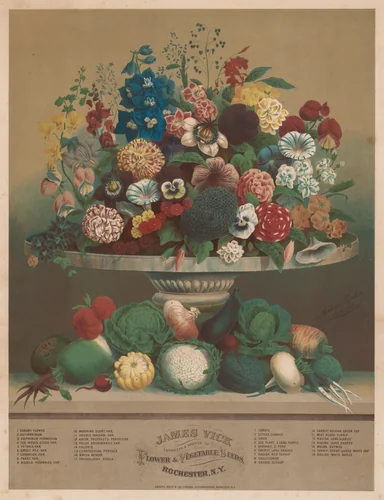 Flowers and Vegetables by Anton Carl Rahn, print, 1800-1899