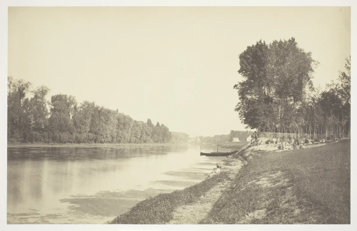 Untitled, from the series "Bois de Bologne" by Charles Marville, photograph, 1845-1855
