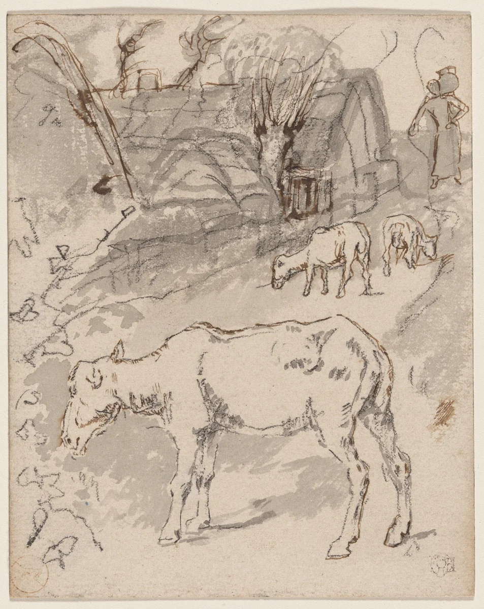Three Sheep by a Cottage (recto)/Sketches of Cows (verso) by Félix-Hilaire Buhot, drawing, 1847-1898