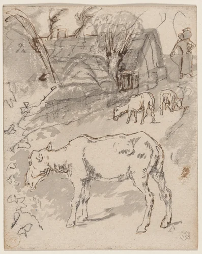 Three Sheep by a Cottage (recto)/Sketches of Cows (verso) by Félix-Hilaire Buhot, drawing, 1847-1898