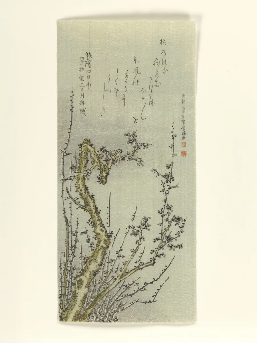 Old Plum Tree by Kubo Shunman (窪俊満), print, 1796