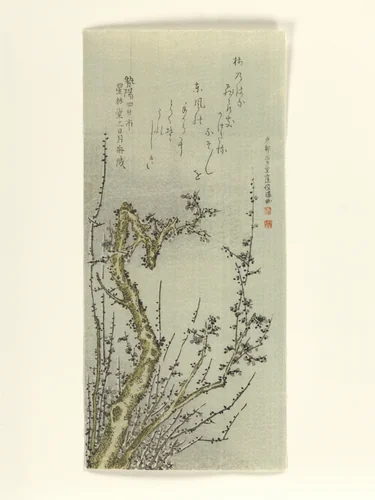 Old Plum Tree by Kubo Shunman (窪俊満), print, 1796