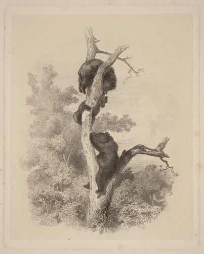 Les Ours (The Bears) by Karl Bodmer, print, 1858-1874