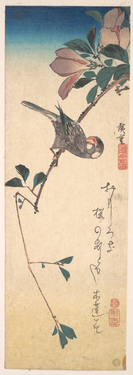 Purple Magnolia and Hornbill by Utagawa Hiroshige (歌川広重), print, 1820-1840