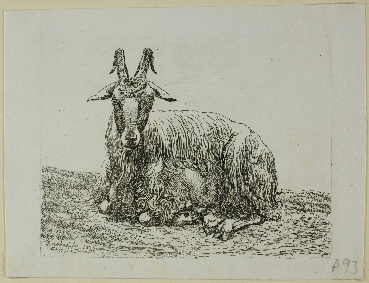 Lying Goat, from Die Zweite Thierfolge by Johann Christian Reinhart, print, 1800