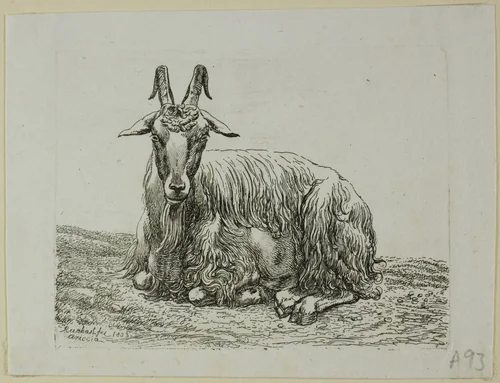 Lying Goat, from Die Zweite Thierfolge by Johann Christian Reinhart, print, 1800