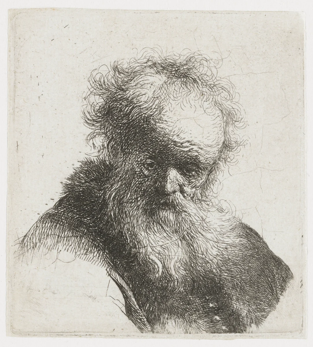 Old Man with a Flowing Beard and White Sleeve by Rembrandt van Rijn, print, 1630
