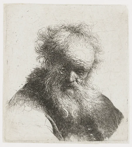 Old Man with a Flowing Beard and White Sleeve by Rembrandt van Rijn, print, 1630