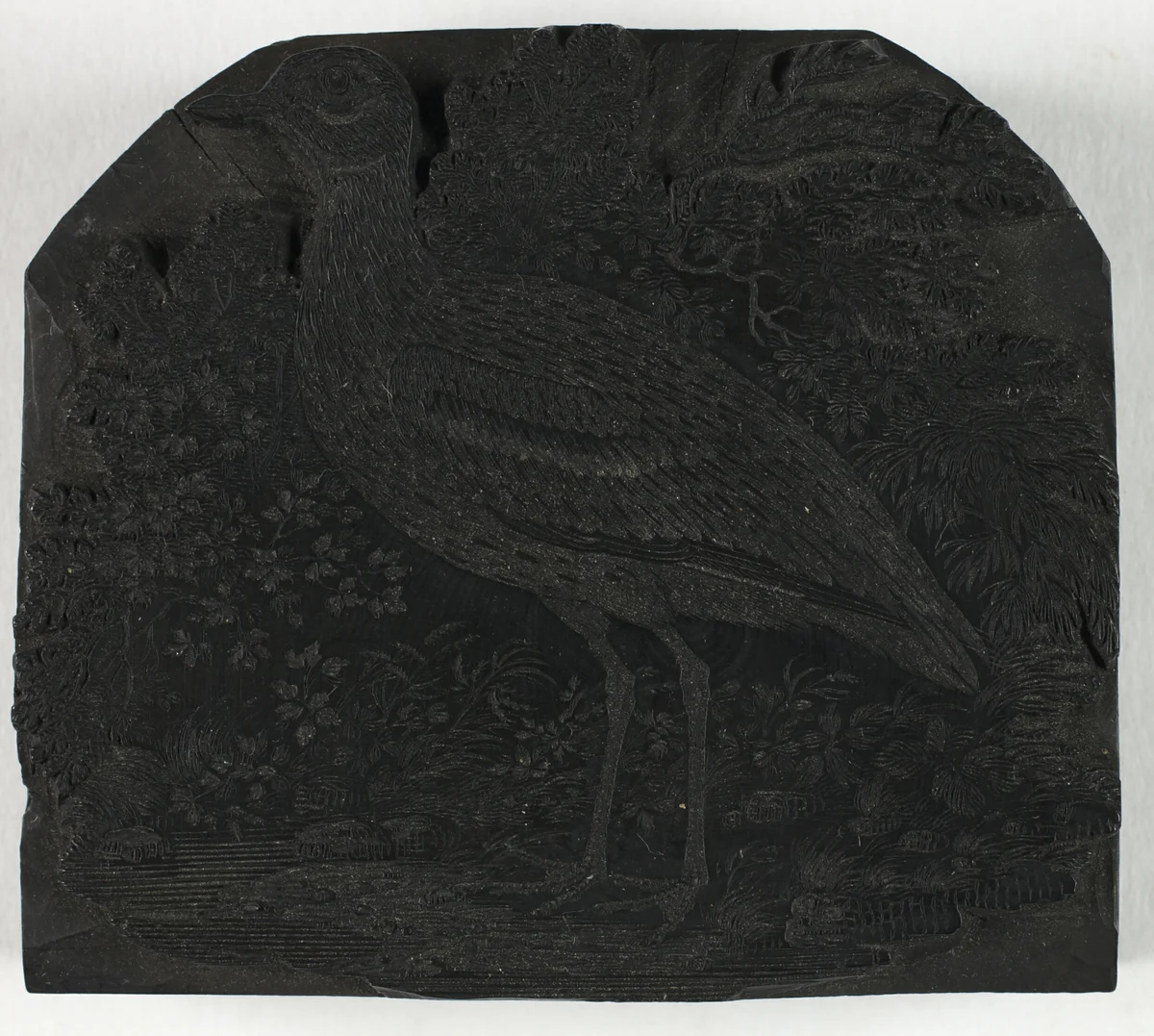 Woodblock for The Great Plover, from A History of British Birds by Thomas Bewick, print, 1792-1802