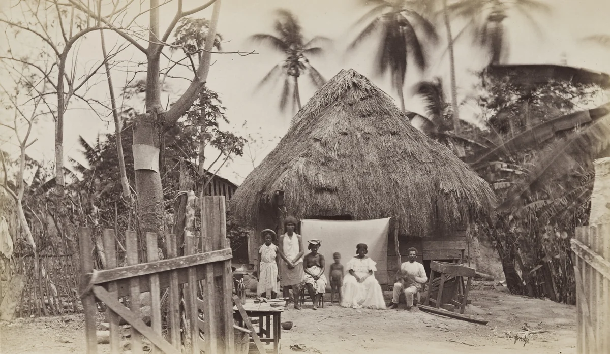 Suburban Residence, Panama by Eadweard Muybridge, photograph, 1875