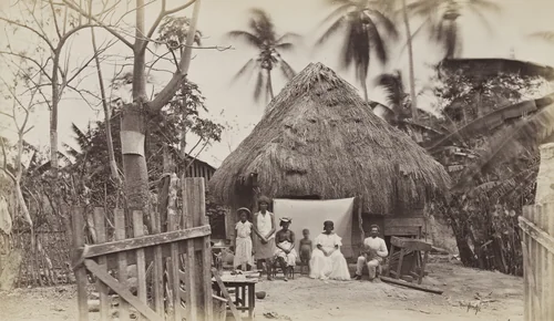 Suburban Residence, Panama by Eadweard Muybridge, photograph, 1875