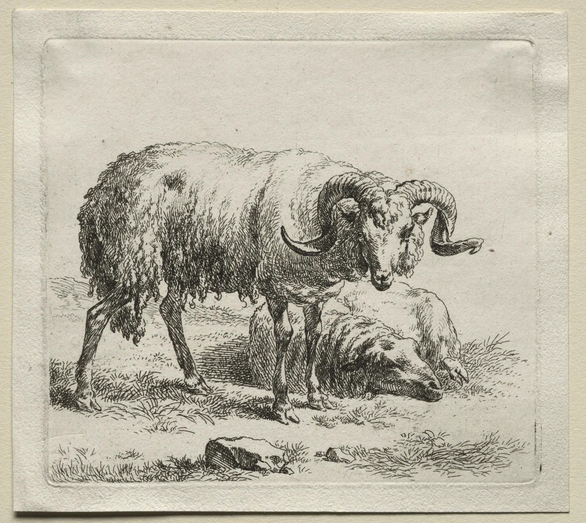 Animalia: Ram and Sheep by Nicolaes Berchem, print, 1635-1683