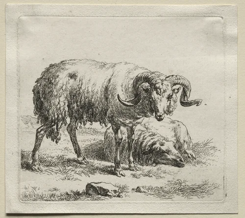 Animalia: Ram and Sheep by Nicolaes Berchem, print, 1635-1683