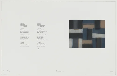 Cigarra! [Cicada!] by Sean Scully, portfolio, 2003