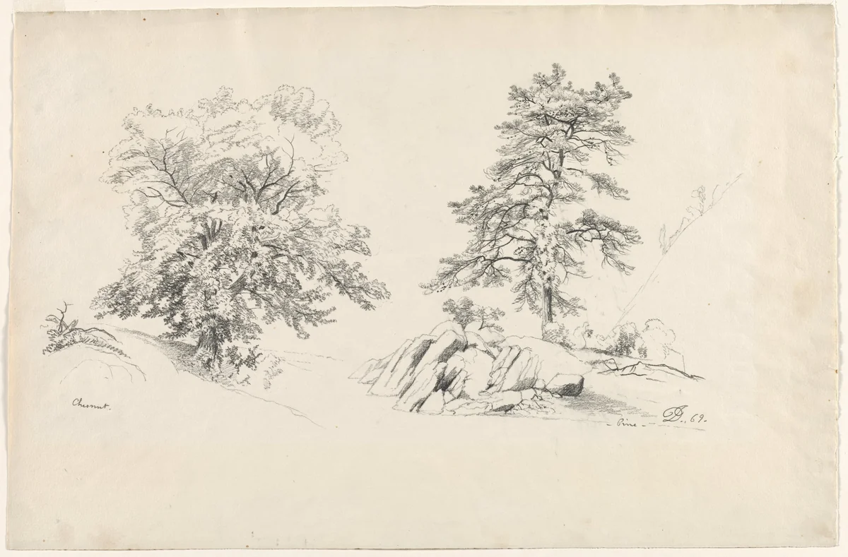 Chestnut and Pine by David Johnson, drawing, 1869