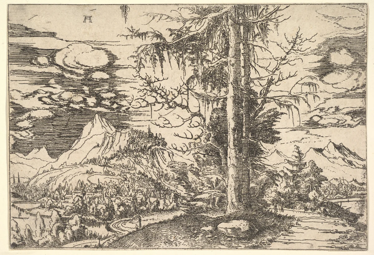 Landscape with a Double Spruce by Albrecht Altdorfer, print, 1516-1527