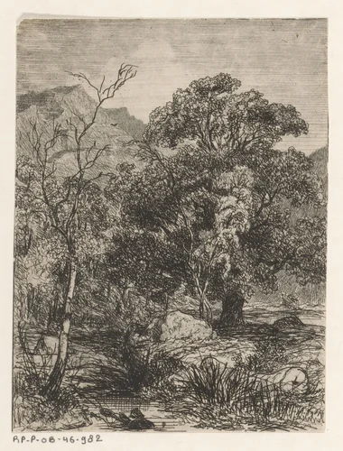 Bos met stromend beekje by Martinus Antonius Kuytenbrouwer jr., print, 1850