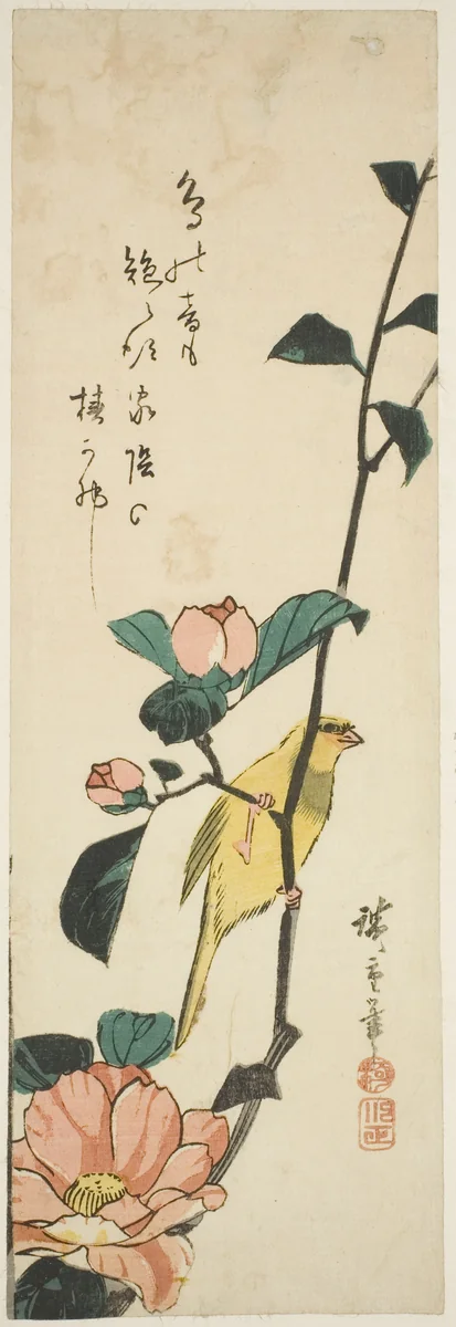 Canary and camellias by Utagawa Hiroshige (歌川広重), print, 1840-1849