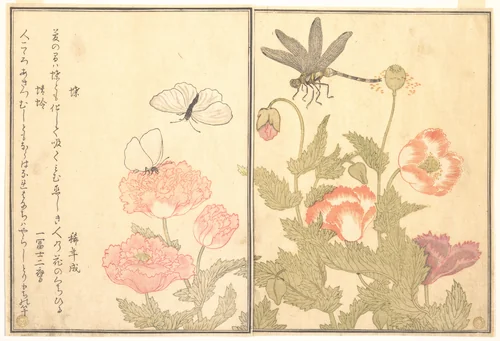 Butterfly (Chō); Dragonfly (Kagerō or Tonbo), from the Picture Book of Crawling Creatures (Ehon mushi erami) by Kitagawa Utamaro (喜多川歌麿), print, 1788