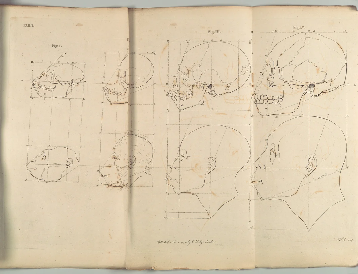 The Works of the late Professor Camper, on The Connexion [sic] between the Science of Anatomy and The Arts of Drawing, Painting, Statuary &c. &c. by Pieter Camper, book, 1794