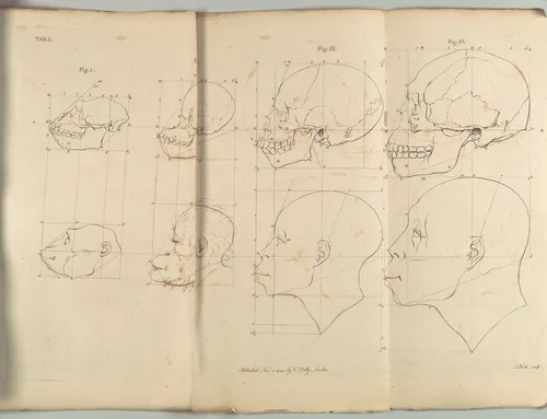 The Works of the late Professor Camper, on The Connexion [sic] between the Science of Anatomy and The Arts of Drawing, Painting, Statuary &c. &c. by Pieter Camper, book, 1794