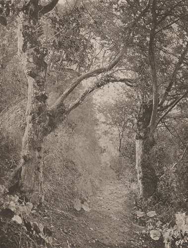 When We Were Boys by James Leon Williams, photograph, 1894