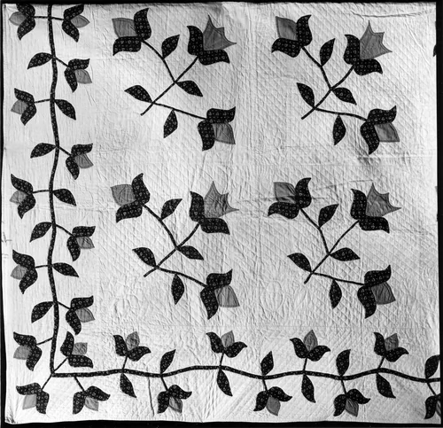 Bedcover (Tulip or Cotton Bolls Quilt) by United States, textile, 1835-1860