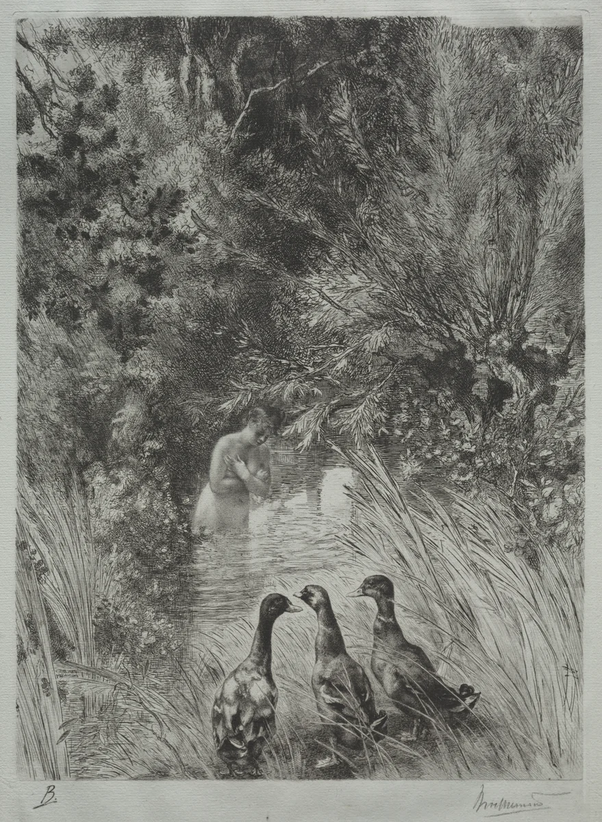 The Surprised Ducks by Félix Bracquemond, print, 1882