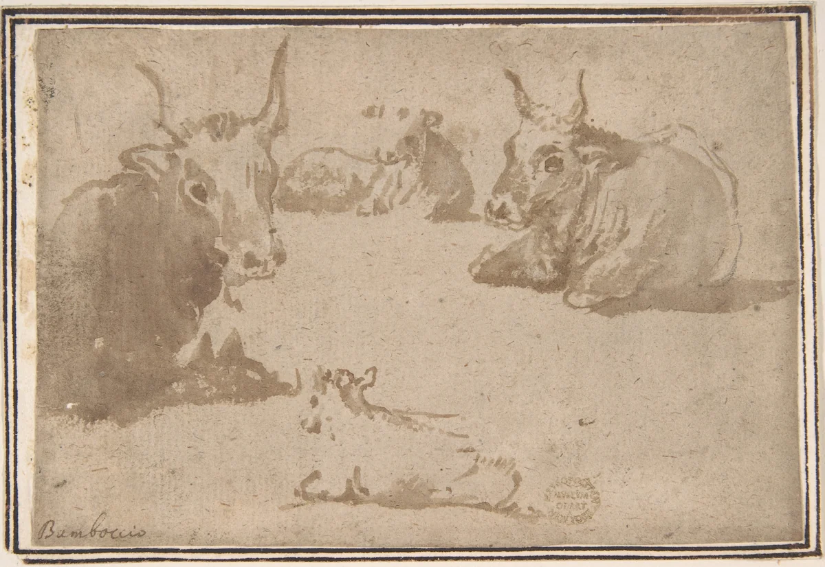 Studies of Cattle by anonymous, drawing, 1600-1700