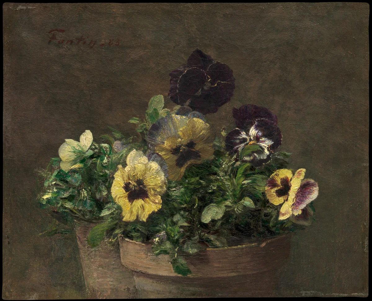 Potted Pansies by Henri Fantin-Latour, painting, 1883